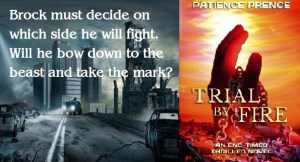 2 Trial By Fire Omega Banner